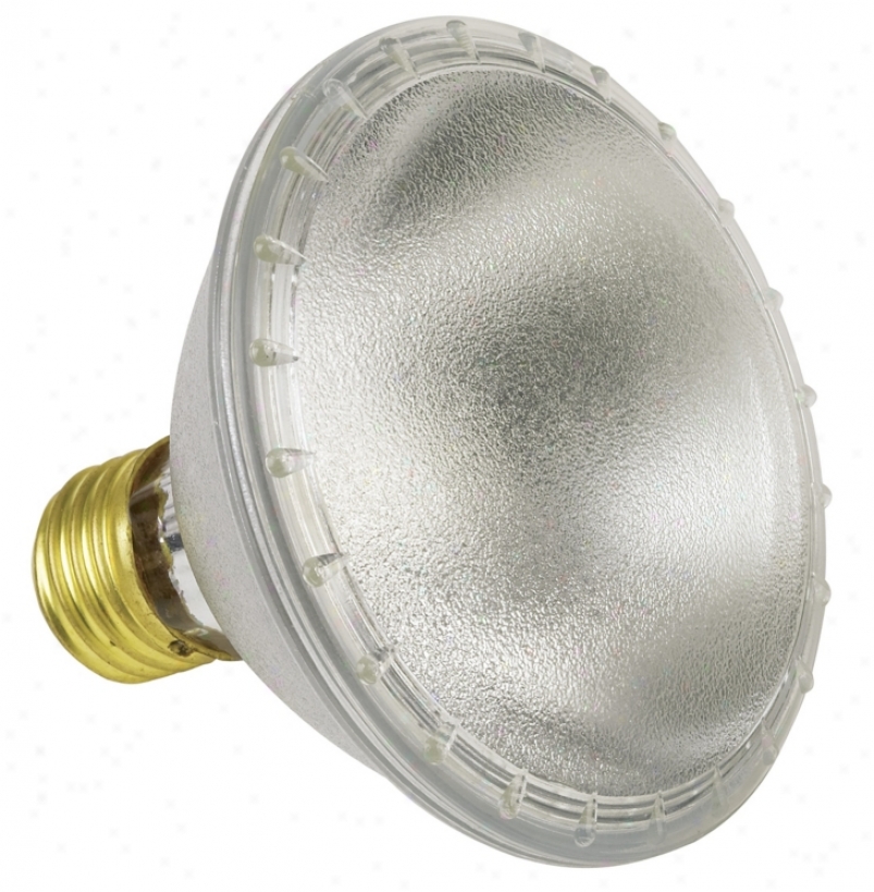 Par30 75-watt Spot Capsylite Bulb (90017)