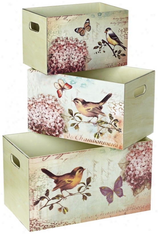 Set Of 3 Bird Design Decrative Storage Boxes (i2837)