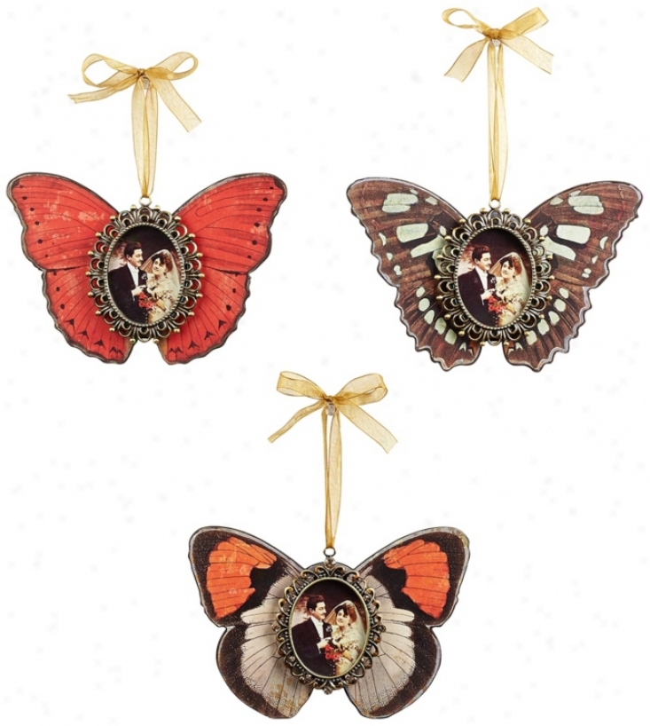 Set Of 3 Butterfly Photo Framd On Ribbon (v6219)