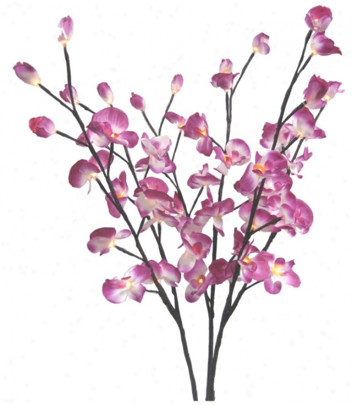 Set Of 3 Lighted Silk Orchdi Flower Branches (p6318)