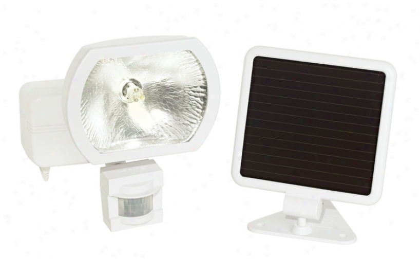 Solar Power Security Motion Detector Outdoor Light (22833)