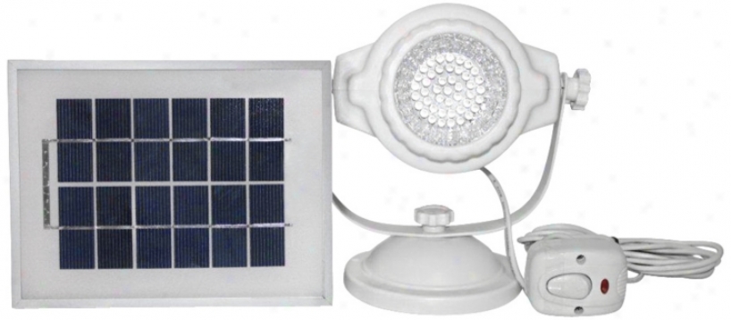 Solar Powered White Outdoor Led Spotlight (m9187)