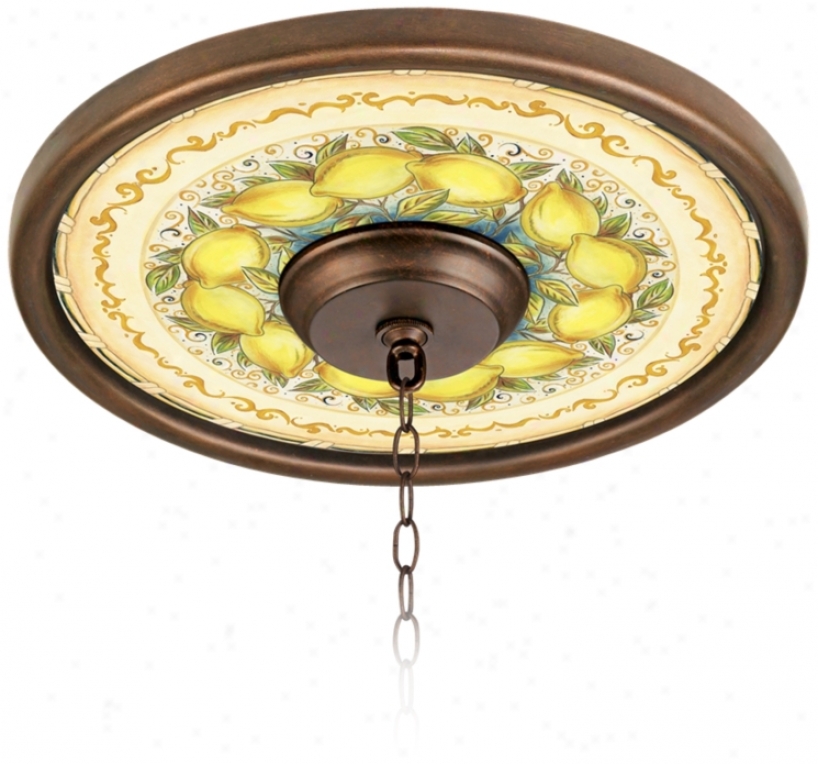 Summr Lemons 16" Wide Brown Finish Ceiling Medallion (02975h-8824)