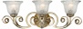 Kathy Ireland Tres Illuminacion Silver 2 1/2" Bath Light (p5190)