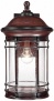 Pike Place Seedy Glass 18" High Outdoor Walo Light (w6004)