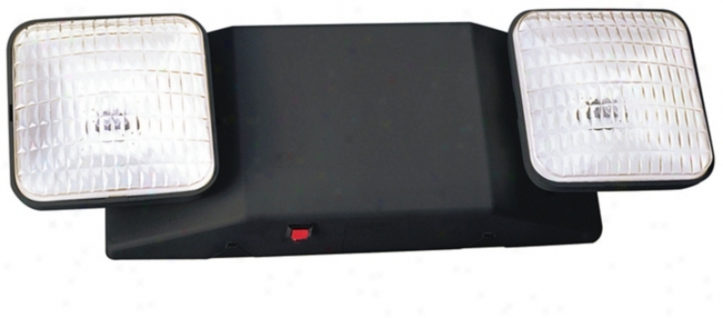 Two iLght Damp Location Black Emergency Light (40843)