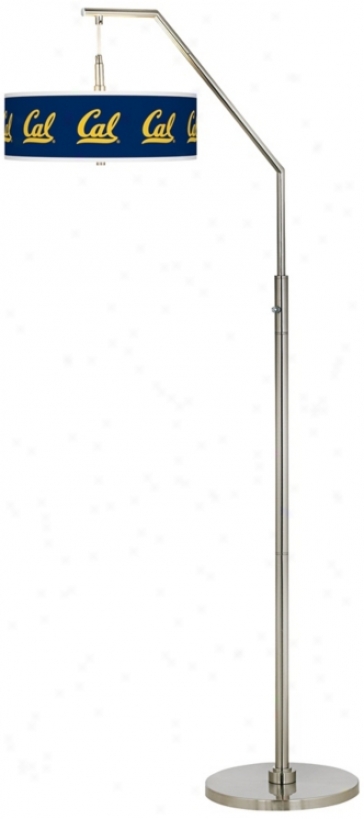 University Of California Berkeley Brushed Nickel Arc Floor Lamp (h5361-y3484)