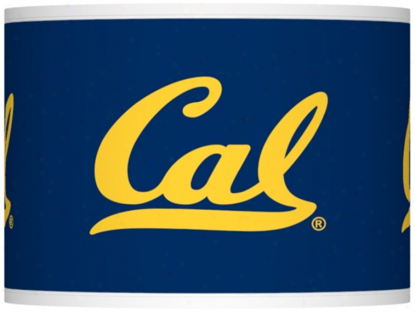 University Of California Berkeley Shade 13.5x13.5x10 (spider) (37869-y3287)