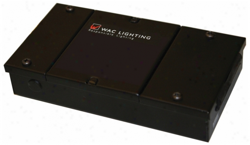 Wac 12 Watt Black Driver For 4 Led Button Lights (m6755)