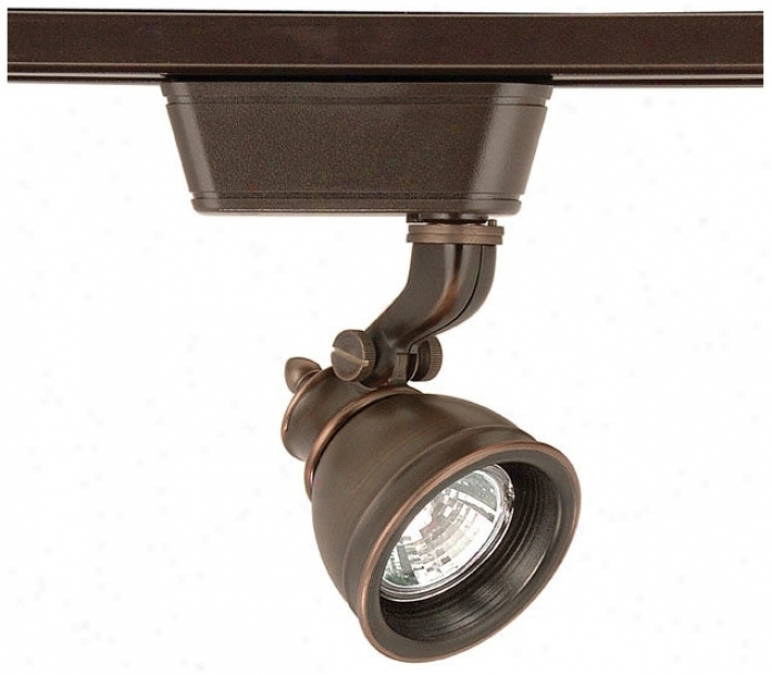 Wac Caribe Antique Bronze Mr16 Track Head (65856)