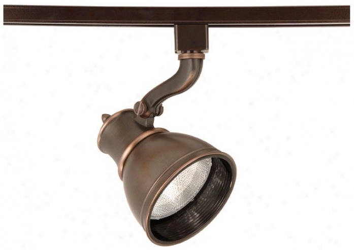 Wac Caribe Antique Bronze Par30 Track Head (66586)