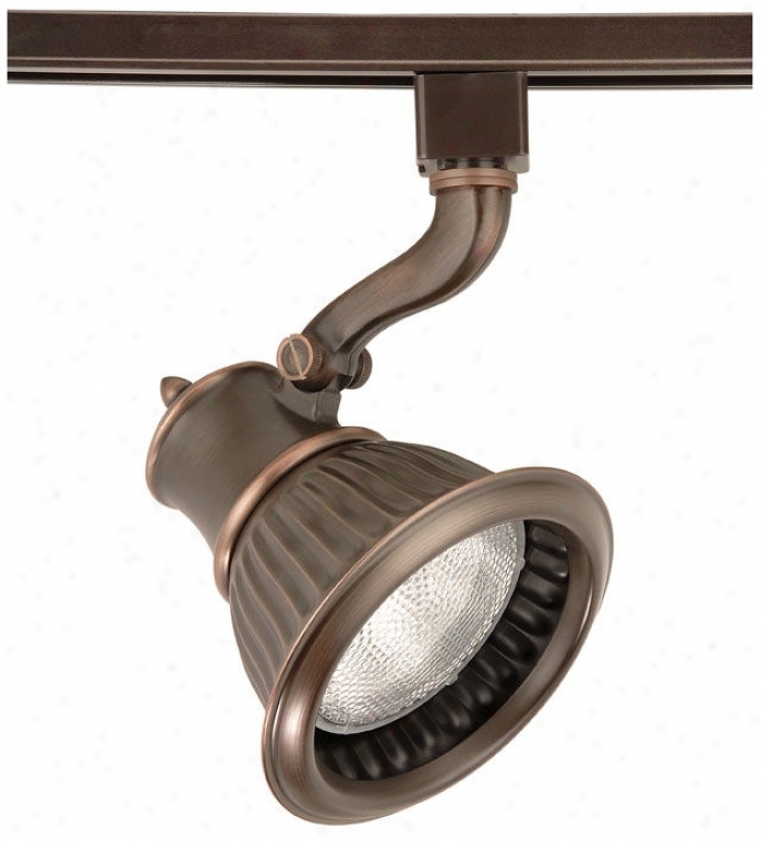 Wac Rialto nAtique Bronze Par30 Track Head (65667)