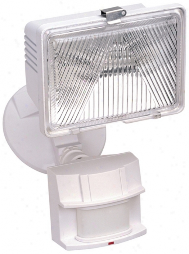 White Energy Star Dark Weather Motion Sensor Security Light (k6501)