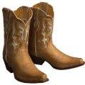 Frye Lily Western Boots (for Women)