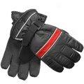 Jacob Ash Ski Glovess - Waterproof, Thinsulate (for Youth)