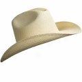 Pantropic Cowgiel Straw Hat (for Women)