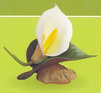 Boehm Porcelain Calla Lily