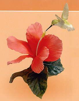 Boehm Porcelain Calliope uHmmingbird With Hibiscus