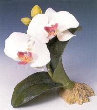 Boehm Porcelain Phalaenopsis Orchids