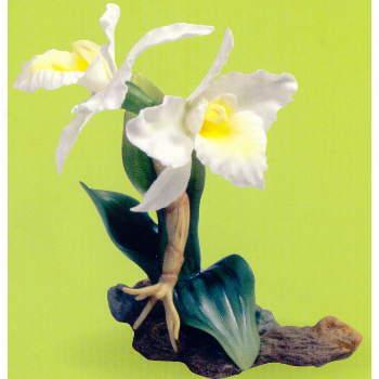 Boehm Porcelain White Cattleya Orchinds