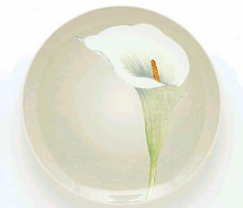 Noritake Colorwave Cream Accent Plate Calla Lily