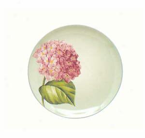 Noritake Colorwave Green Accent Plate Hydrangea