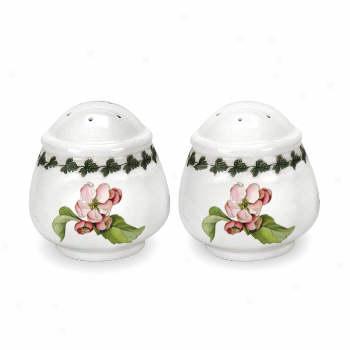 Portmeirion Apple Hrvest Salt & Pepper