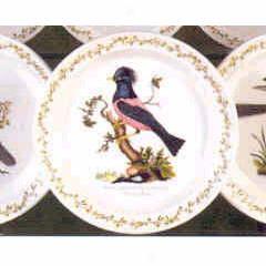 Pormeirion Birds Of Britain Salad Plate Set Of 6