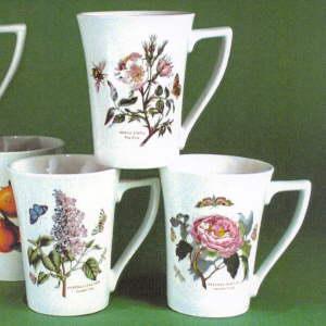 Portmeirion Botanic Garden Mandarin Mug