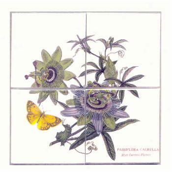 Portmeirion Botanic Garden 12 X 12 Inch Mural Blue Passion Flower Plain