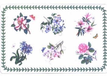 Portmeirion Botanic Garden Placemats Set Of 4