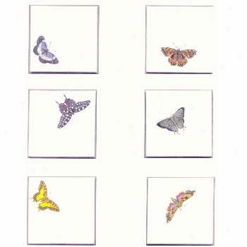 Portmeirion Butterfly 4 X 4 Inch Tiles