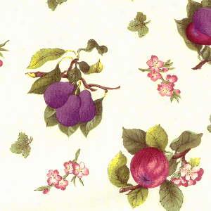 Portmeirion Pomona Napkin