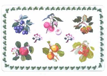 Portmeirion Pomona Placemats Set Of 4