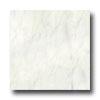 Alfagrs Marbleized 18 X 18 Gris Tile & Stone