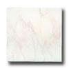 Alfagres Marbleized 8 X 12 Verona Tile & Stone