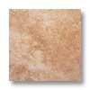 Alfagres Pompei 18 X 18 Agata Tile & Stone