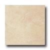 American Florim Dublin Stone 9 X 12 Willow Tile & Stone