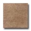 American Florim Dublin Stone 9 X 12 Mocha Tile & Stone