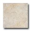 American Florim Marquessa 12 X 12 Manor White Tile & Stone