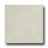 American Florim Terra Nuevo 18 X 18 Crystal Tile & Stone