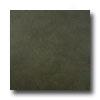 American Florim Urban Landscape 12 X 12 Echo Park Tile & Stone