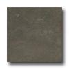 American Florim Woodlandw 12 X 12 Winter Hill Tile & Stone