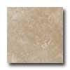 American Olean Ash Creek 12 X 12 Walnut Tile & Stone