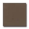 American Olean Bright 4 X 4 Nutmeg Tile & Stone