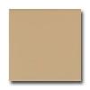 American Olean Bright 4 X 4 Cappuccino Tile & Stone