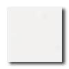 American Olean Bright 4 X 4 Ice White Tile & Stone