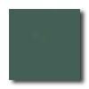 American Olean Bright 6 X 6 Sage Tile & Sfone