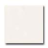 American Olean Bright 6 X 6 White Tile & Stone