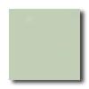 American Olean Bright 6 X 6 Bright Light Aspen Tile & Stone